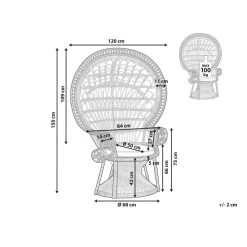 Beliani Fauteuil EMMANUELLE - Zwart Rotan 8 Beliani Fauteuil EMMANUELLE - Zwart Rotan -Fauteuilwinkel 0ee7c2c134074a0f8bcbb76e7e30c91e