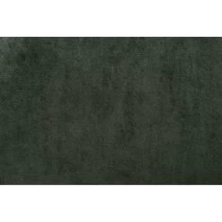 Fauteuil Hamburg - Fluweel - Groen -Fauteuilwinkel 10207456 9000