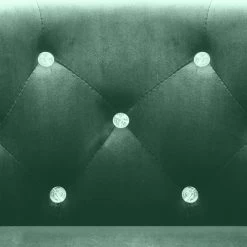 VidaXL Fauteuil Fluweel Groen -Fauteuilwinkel df6a31e963524035a672f2c986370926